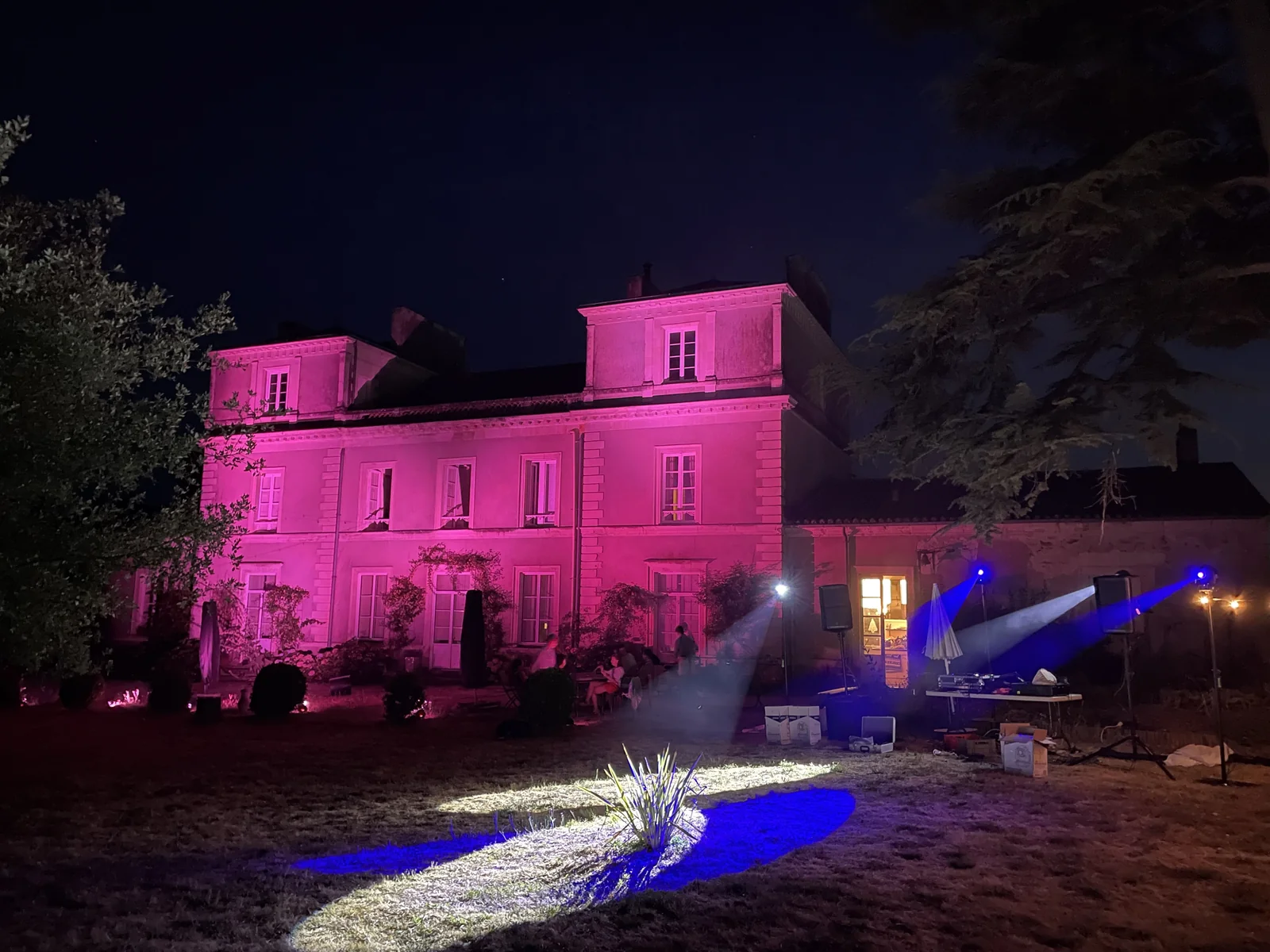 Château éclairé en rose